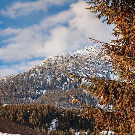 Updated Whistler Creek Studio With Parking Extérieur photo