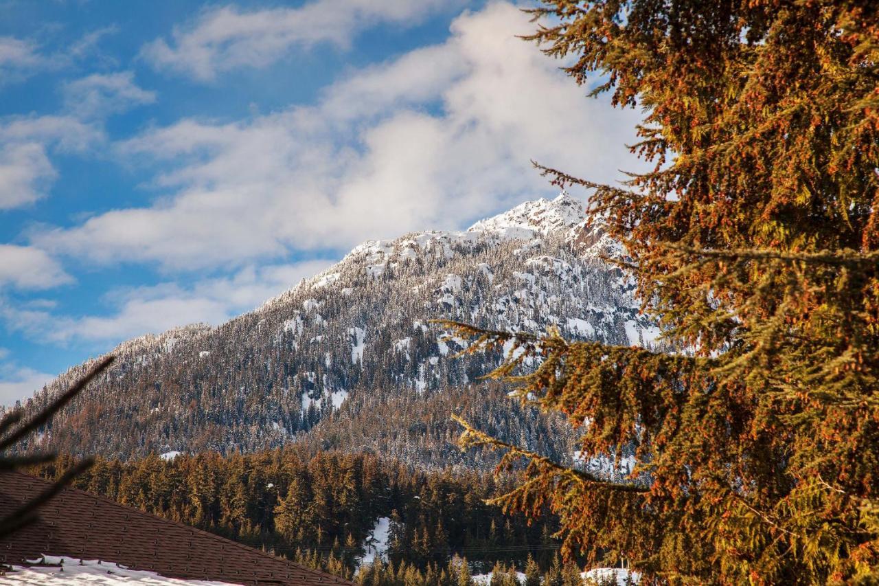 Updated Whistler Creek Studio With Parking Extérieur photo